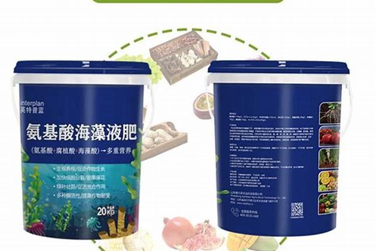 最好的海藻肥排名
