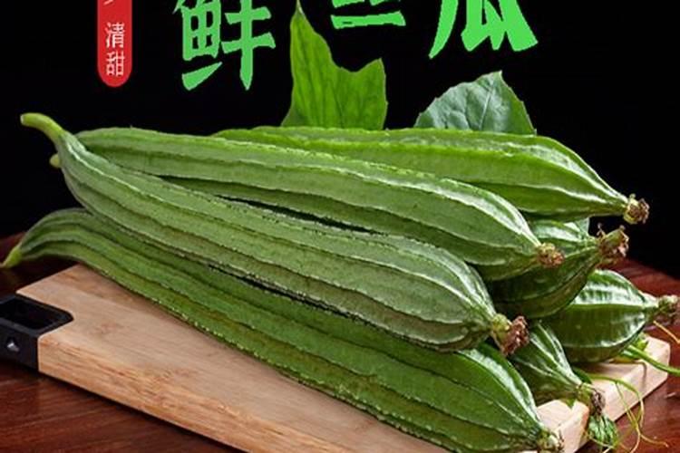 种丝瓜用什么肥料最好