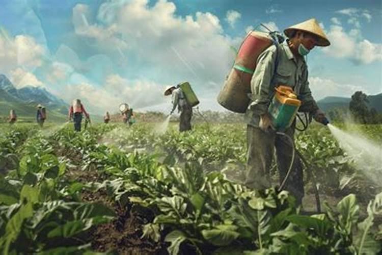 亦霉酸十中量元素十甘蔗宝宝十微生物菌剂喷甘蔗什么效果