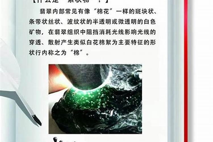 叶子黄了,大家都推荐我使用喜满地水溶肥,说含有植物营养,是真的吗？