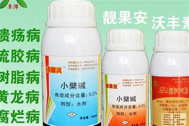 葡萄树雨前打药好还是雨后打药好？