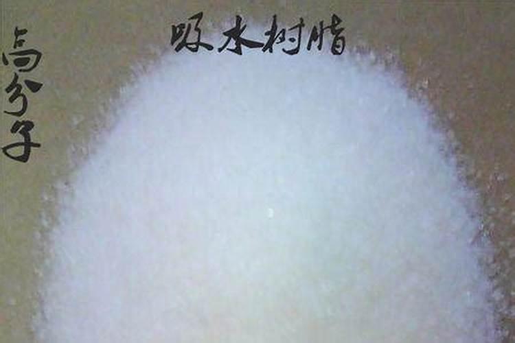 发财树浇什么水长得最旺