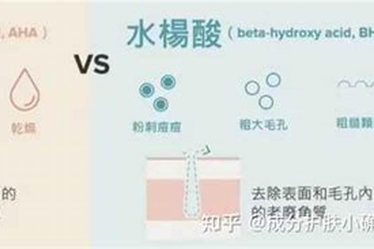 小东西沾水秒变大补药,芽头蹭蹭冒,大白根撑爆盆!