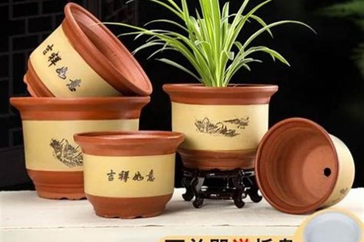 氮肥可以兑水浇花吗