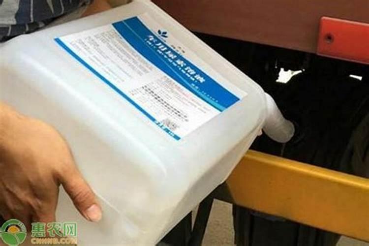 尿素可以兑水浇白菜吗