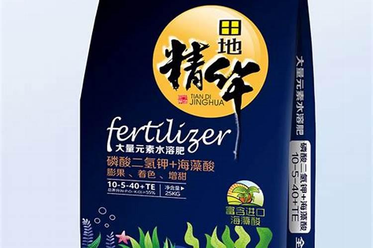 白掌叶子下垂能恢复吗