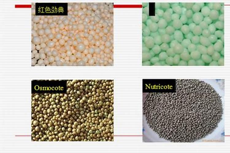 德国红牛钾盐28一11一11控释肥多少钱一吨？