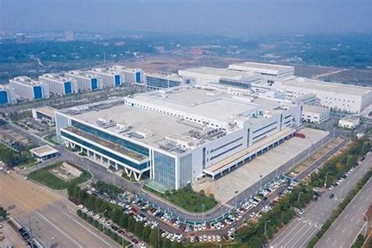 辣椒需要施什么肥料 施肥过多怎么处理