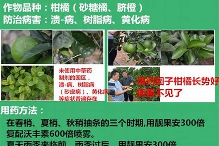 膨果肥用什么肥最好