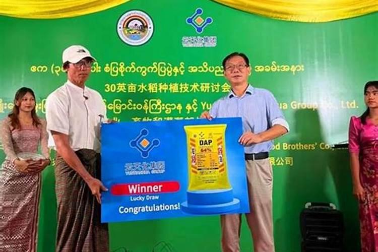 杧果的分布如何？