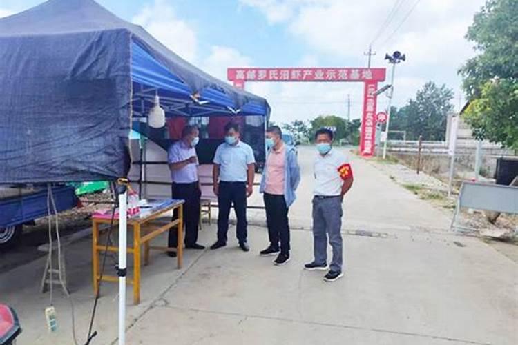 植物肥料发酵会烧根,达到多少度会造成烧根呢？