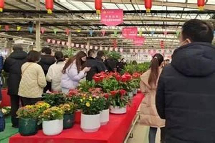 有一种水果,四川话读“ci gua”,很甜很好吃的,直径大概只34厘米,它...