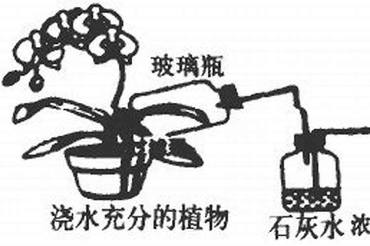 土壤养分检测仪什么用？怎么用来指导施肥？测量准吗？
