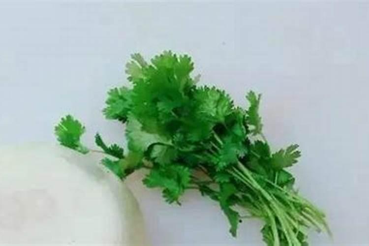 小西红柿水果怎么洗能除农药残留