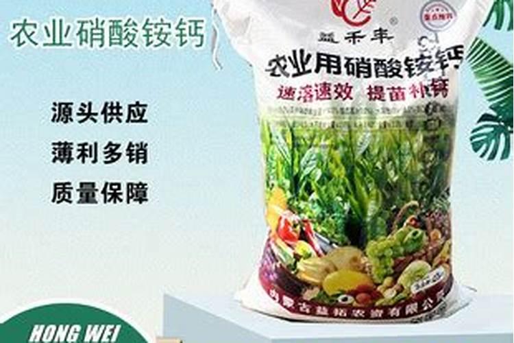 水培铜钱草施什么肥
