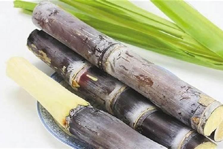 放鱼头堆肥施甘蔗好吗