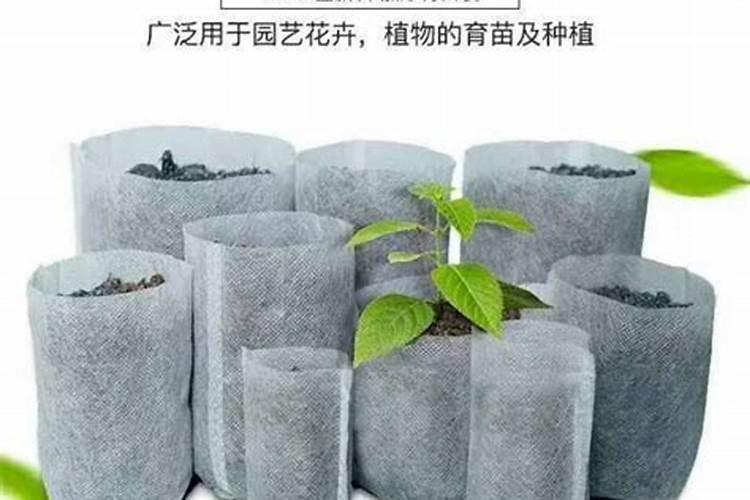 什么蔬菜含钾比较高
