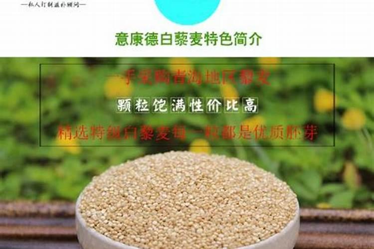 藜麦是怎么栽培生长的？南方地区藜麦的栽培技术详解