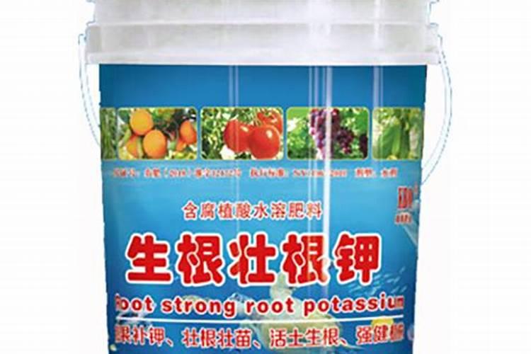 草莓生根壮苗的水溶肥有几种？