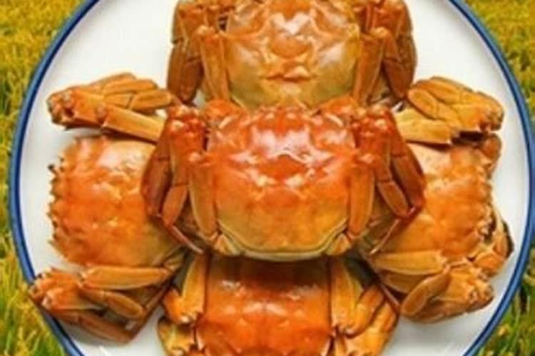 稻田蟹的养殖技术