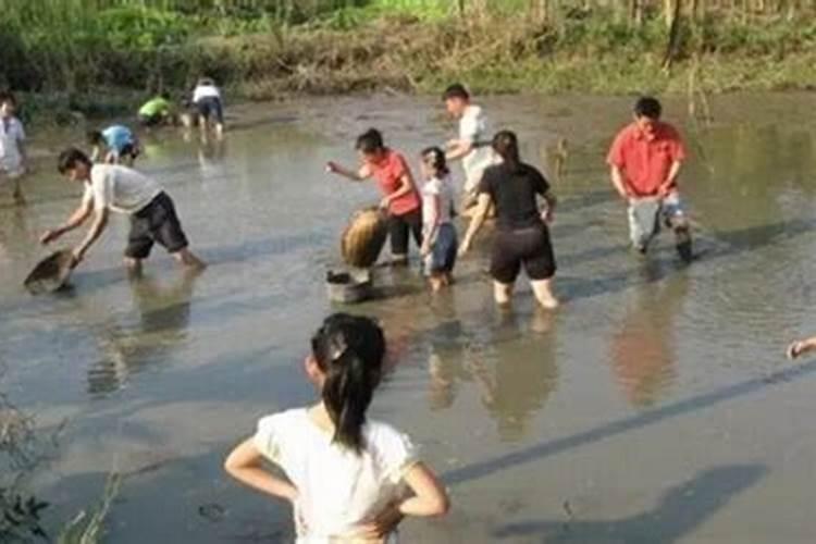 夏季养鱼该如何调节水质？