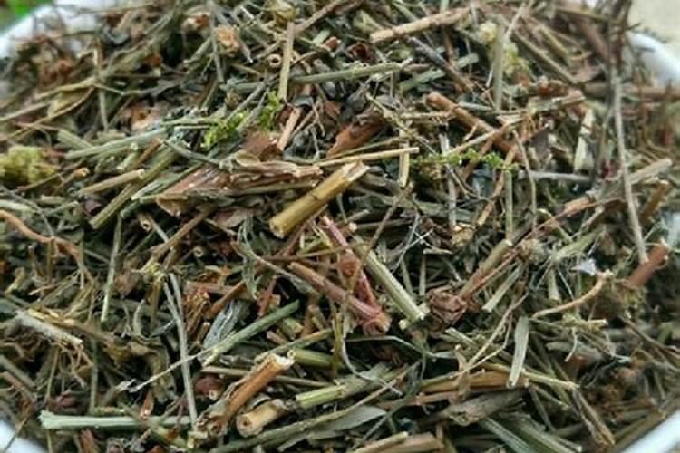 种植龙胆草怎么加强管理