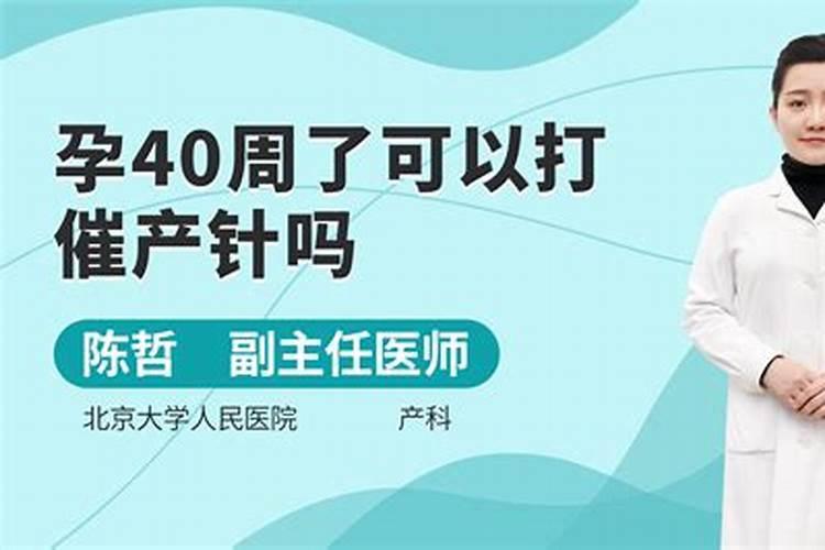 盆栽花的养殖方法和注意事项有哪些 盆栽花的养殖方法和注意