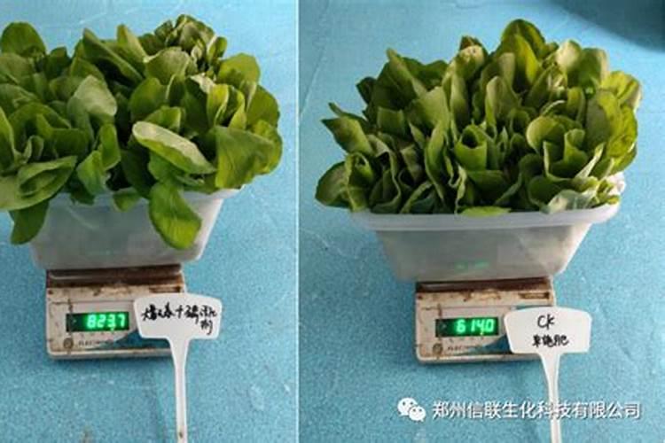 大量元素水溶肥的效果,如何辨别好坏
