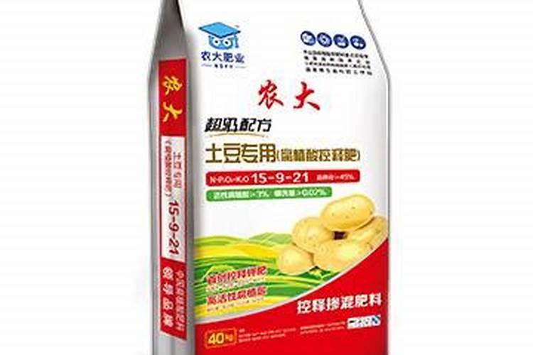 请问老师昙花。长这白班怎么办？