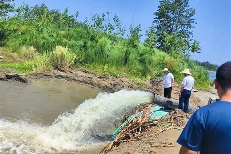 水稻田无水可以施肥吗我家水稻田里无水