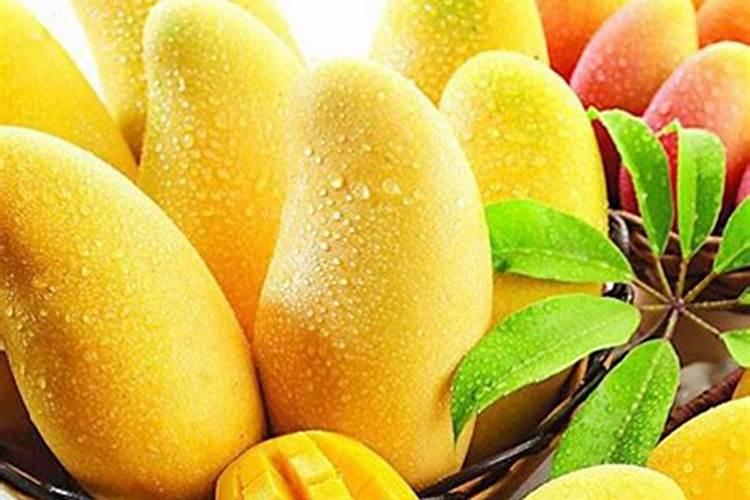 请问老师芒果施肥有什么技巧？？？