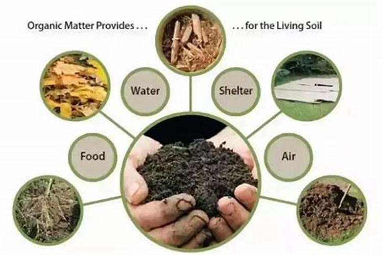 有哪些方法可以增加土壤的肥力？