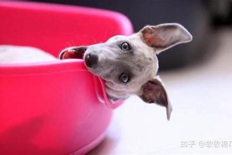 磷肥最高含磷量是多少