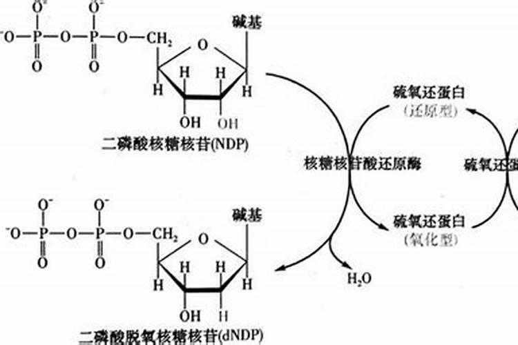 怎样才能合理施用磷肥