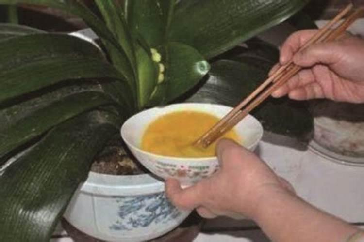 百香果叶面肥有哪些