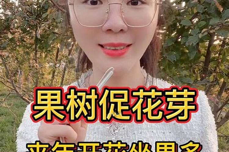 花施肥施多了怎么办