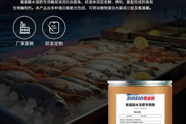 鱼蛋白的做法都有什么呢？