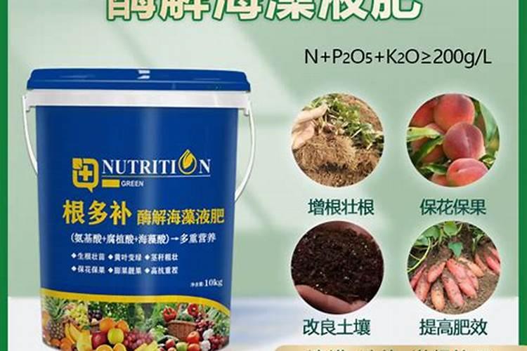 海藻肥哪个品牌的好？