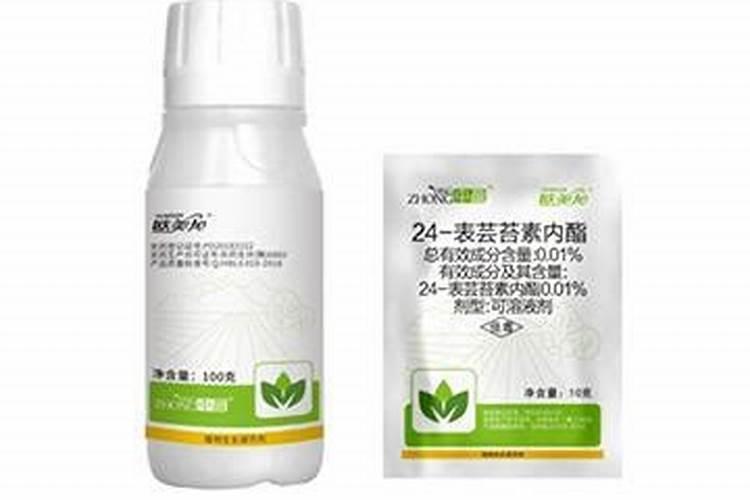 芸苔素内酯有什么特点,防治什么病,不能和什么性质药配制