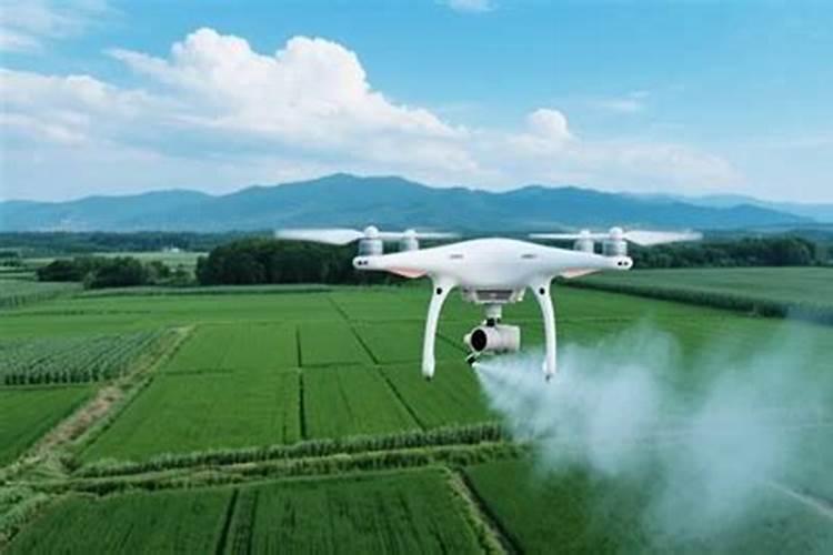 小麦膨大剂是什么药