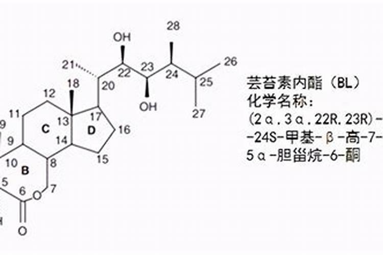 芸苔素内酯14羟基好还是28高好
