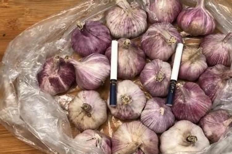 大蒜最忌啥肥料种植