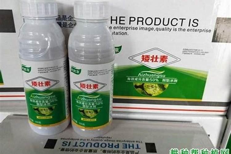 盆栽果树矮化方法有哪些