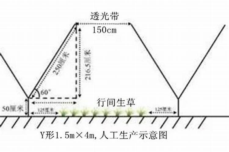 什么肥料含钾最高,含钾的肥料有什么作用