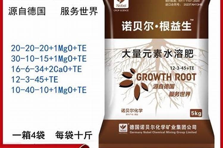 草莓施肥技巧
