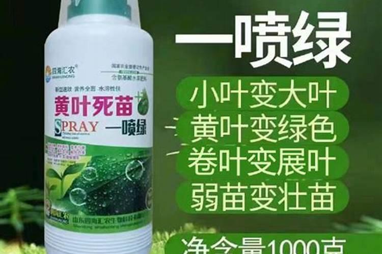 硼肥的作用 缺硼和硼肥过量症状