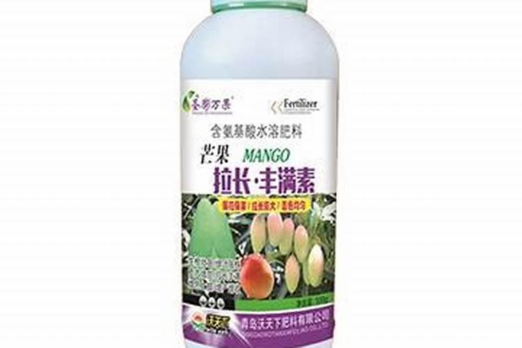 芒果膨大的方法是什么？需要给芒果打叶面肥吗？