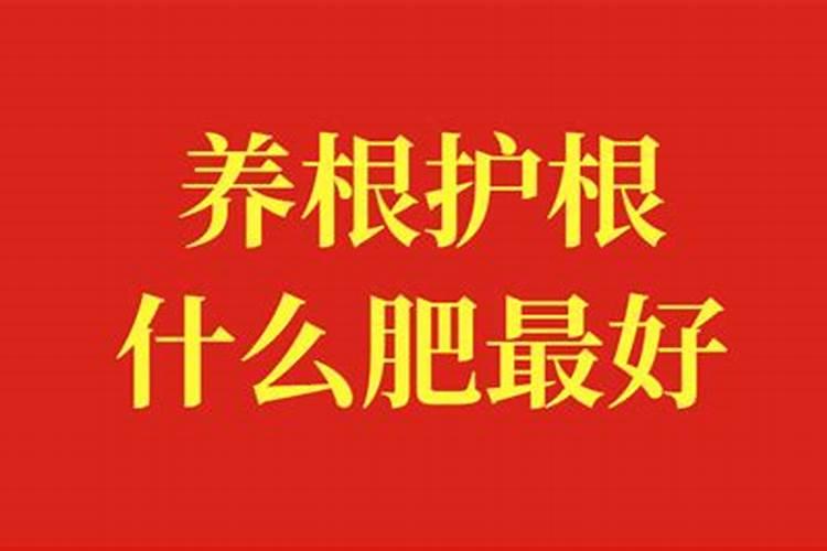 富贵树怎么施肥,施什么肥