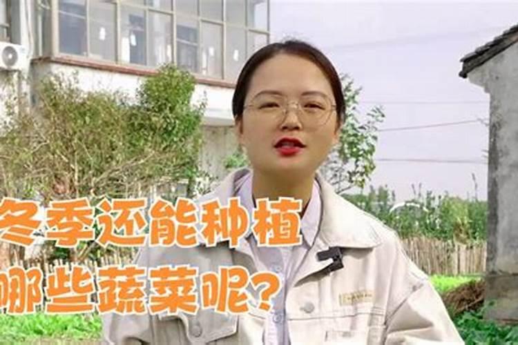天冷了长寿花如何养护花卉百科