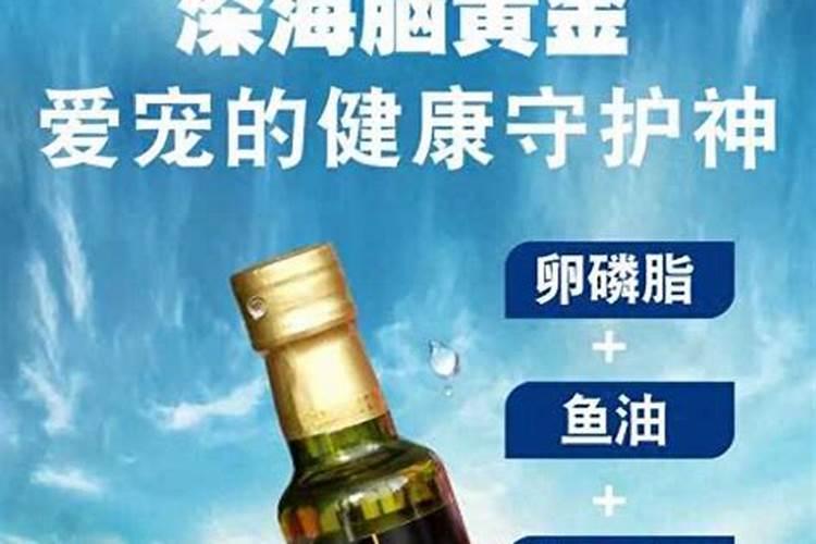 鱼油卵磷脂功效与作用